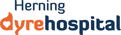 herning dyrehospital logo